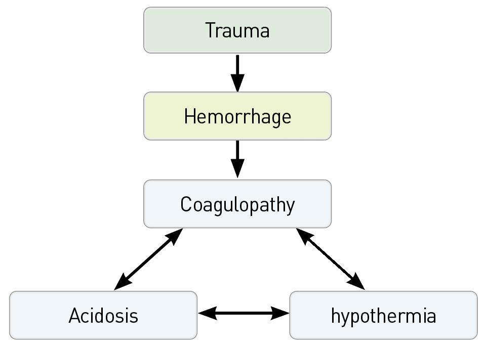 저혈량 쇼크/출혈성 쇼크(Hypovolemic shock/Hemorrhagic shock) - Metamedic