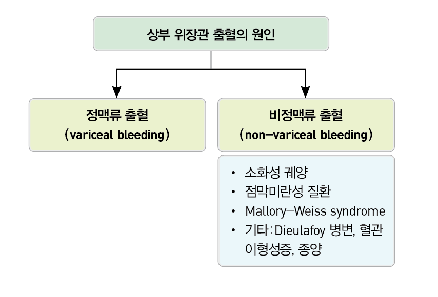 위장관출혈(gastrointestinal bleeding, GI bleeding): 상부위장관 출혈 - Metamedic