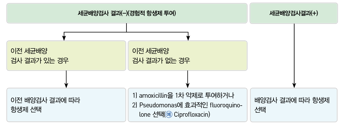 기관지확장증: 치료 - Metamedic
